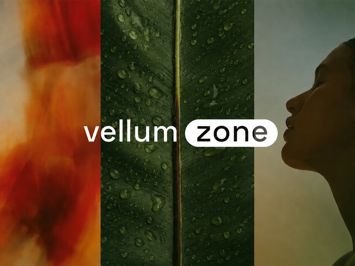 Vellum Zone — Branding, Website